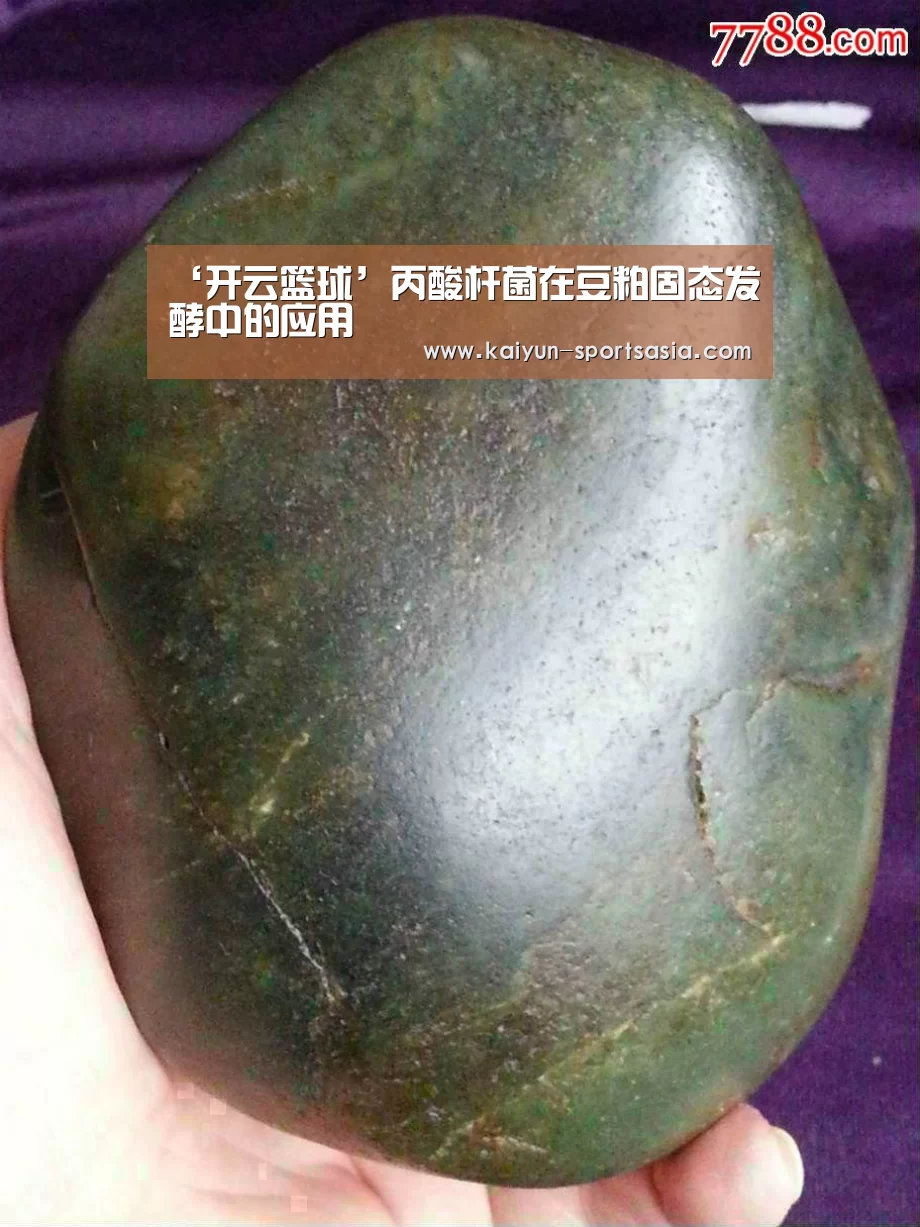 ‘开云篮球’丙酸杆菌在豆粕固态发酵中的应用