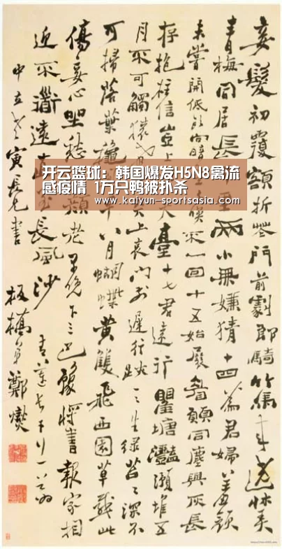 开云篮球