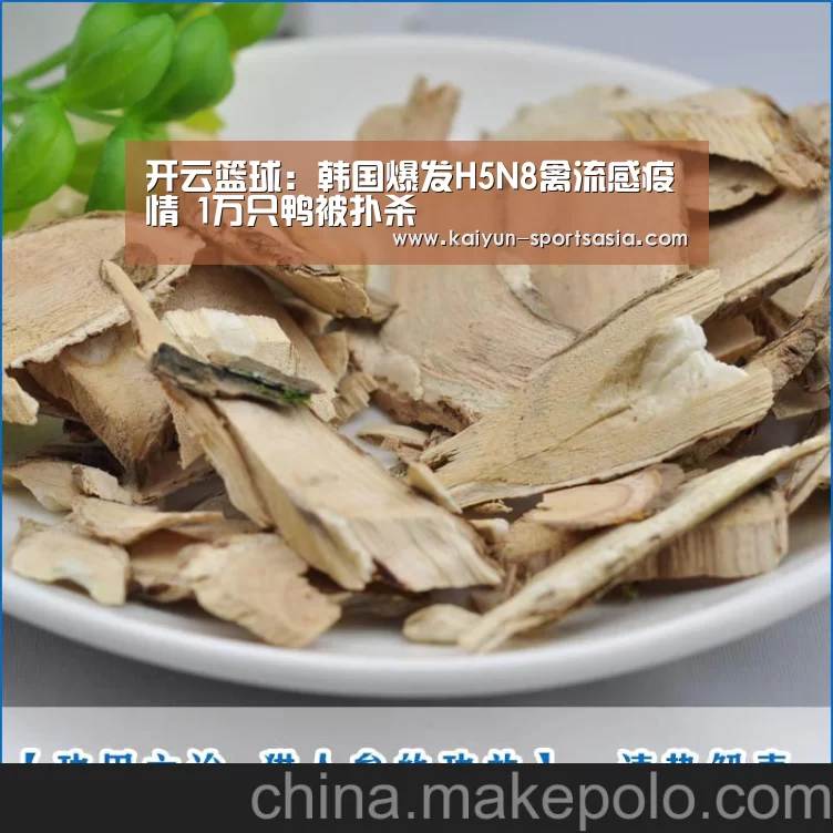 开云篮球：韩国爆发H5N8禽流感疫情 1万只鸭被扑杀