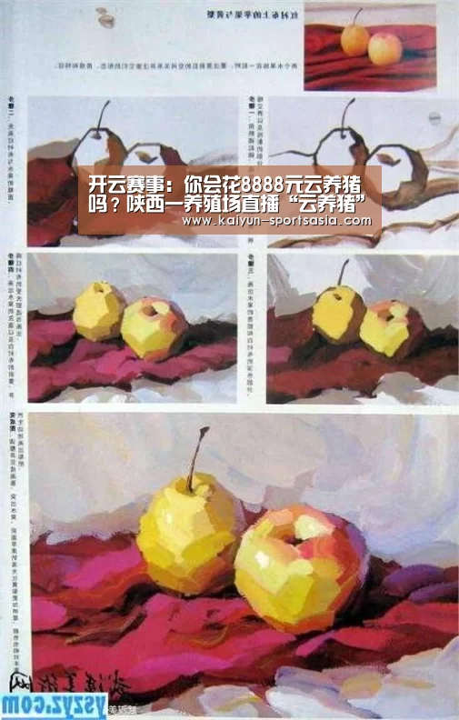 开云赛事